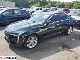 Cadillac Pozostałe - zobacz ofertę