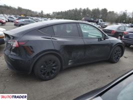 Tesla Model Y 2021 Tesla Model Y 2021