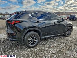 Lexus NX 2024 2
