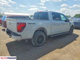Ford Pozostałe 2024 3