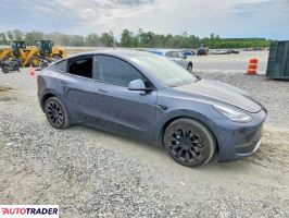 Tesla Model Y 2020