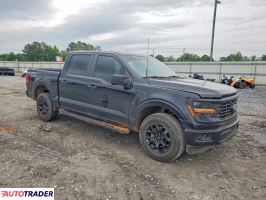 Ford Pozostałe 2024 5
