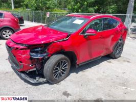 Lexus NX 2024 2 Lexus NX 2024 2