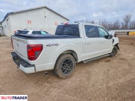 Ford Pozostałe 2024 2
