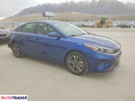 Kia Pozostałe 2022 2