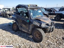 Polaris Pozostałe 2019