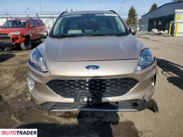 Ford Escape 2020 2