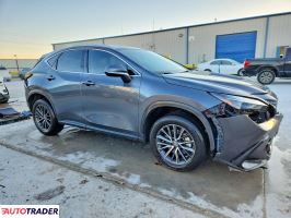 Lexus NX 2024 2