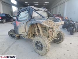 Polaris Pozostałe 2024