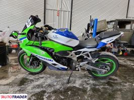Kawasaki ZX 2024