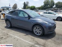 Tesla Model Y 2024 Tesla Model Y 2024