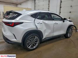 Lexus NX 2023 2