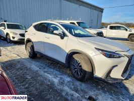 Lexus NX 2025 2