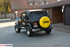 Jeep Wrangler 1991 2.5 125 KM