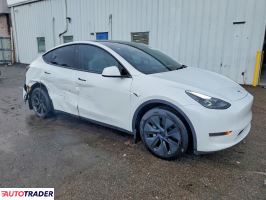 Tesla Model Y 2025