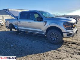 Ford Pozostałe 2024 3