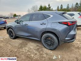 Lexus NX 2024 2