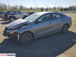 Kia Pozostałe 2024 1
