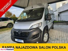Opel Movano - zobacz ofertę
