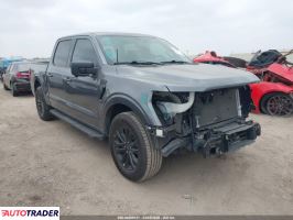 Ford Pozostałe 2024 2