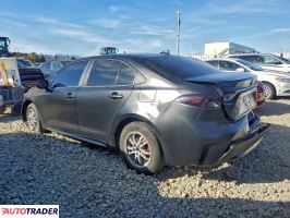 Toyota Corolla 2020 1