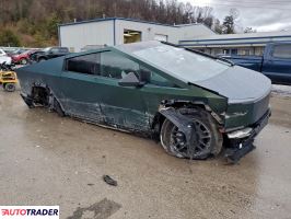 Tesla Pozostałe 2024