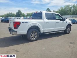 Ford Pozostałe 2024 2