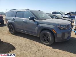 Hyundai Santa Fe 2024 2