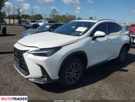 Lexus NX 2024 2