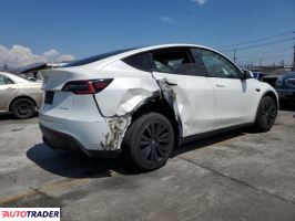 Tesla Model Y 2021 Tesla Model Y 2021