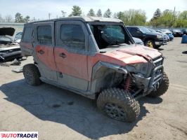 Polaris Pozostałe 2024