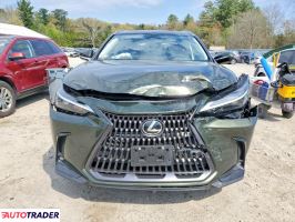 Lexus NX 2024 2
