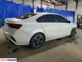 Kia Pozostałe 2024 2