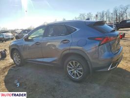 Lexus NX 2020 2