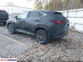 Lexus NX 2023 2