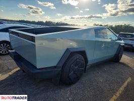 Tesla Pozostałe 2024