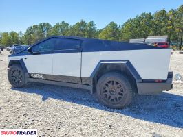 Tesla Pozostałe 2024