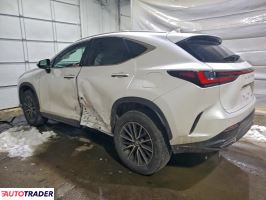 Lexus NX 2025 2