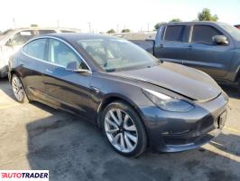 Tesla Model 3 2019