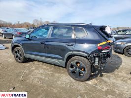 Volkswagen Pozostałe 2025 1