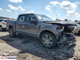 Ford Pozostałe 2021 3