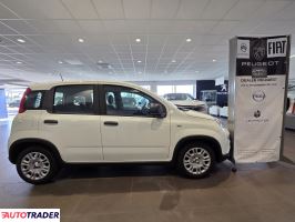 Fiat Panda 2024 1.0 70 KM Fiat Panda 2024 1.0 70 KM
