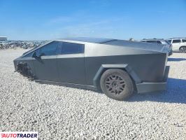 Tesla Pozostałe 2024