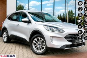 Ford Kuga - zobacz ofertę