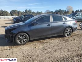 Kia Pozostałe 2024 2