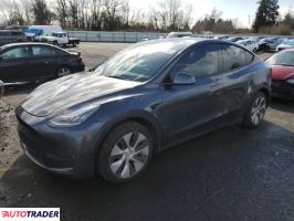 Tesla Model Y 2021 Tesla Model Y 2021