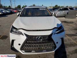Lexus NX 2024 2
