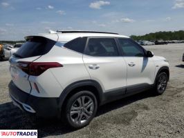 Kia Pozostałe 2021 2 Kia Pozostałe 2021 2
