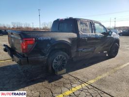 Ford Pozostałe 2024 3