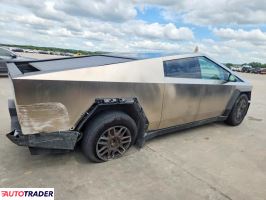 Tesla Pozostałe 2024